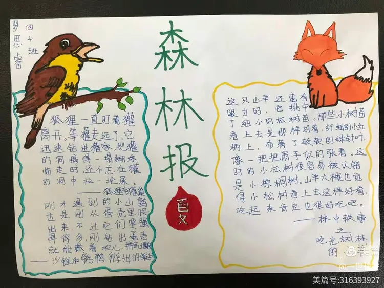 西工大附小融侨分校四年级学科活动——读《森林报》